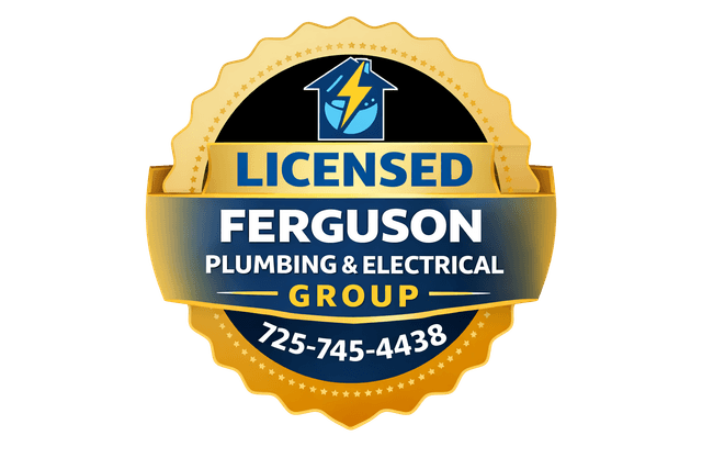Ferguson Licensed, Insured & Background-Checked badge